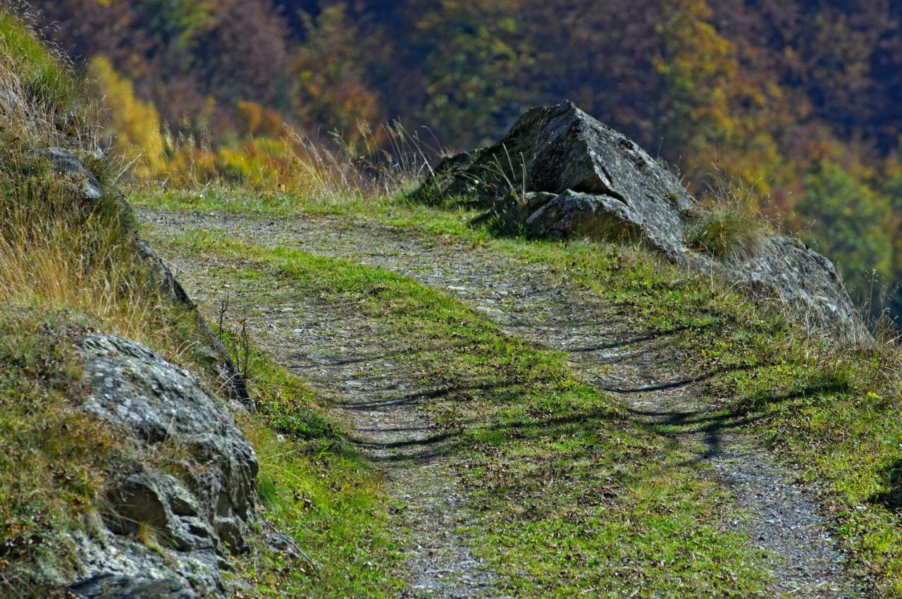 Pensione Boschetto Cevio Buitenkant foto